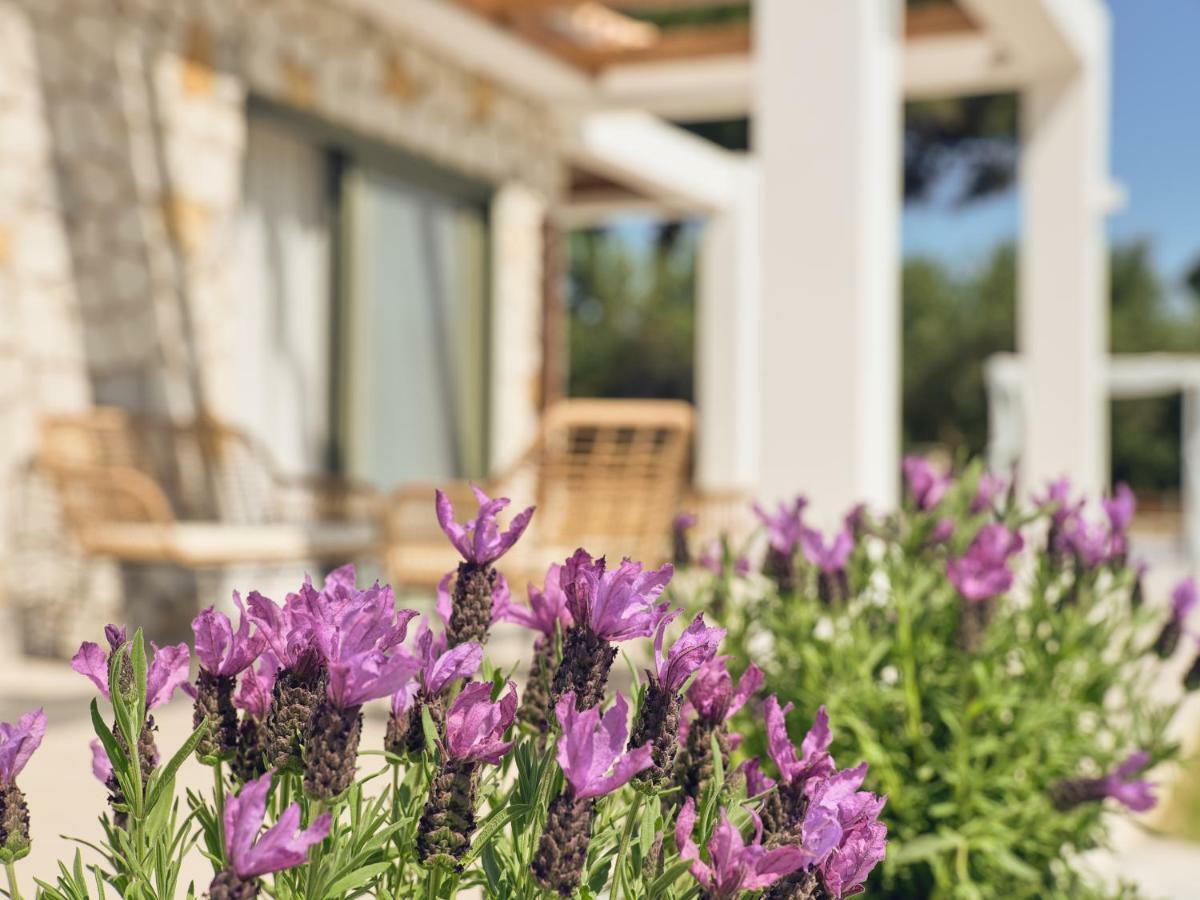 Gerakas Luxury Villas Vasilikí 外观 照片